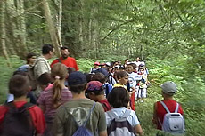 Visite en forêt